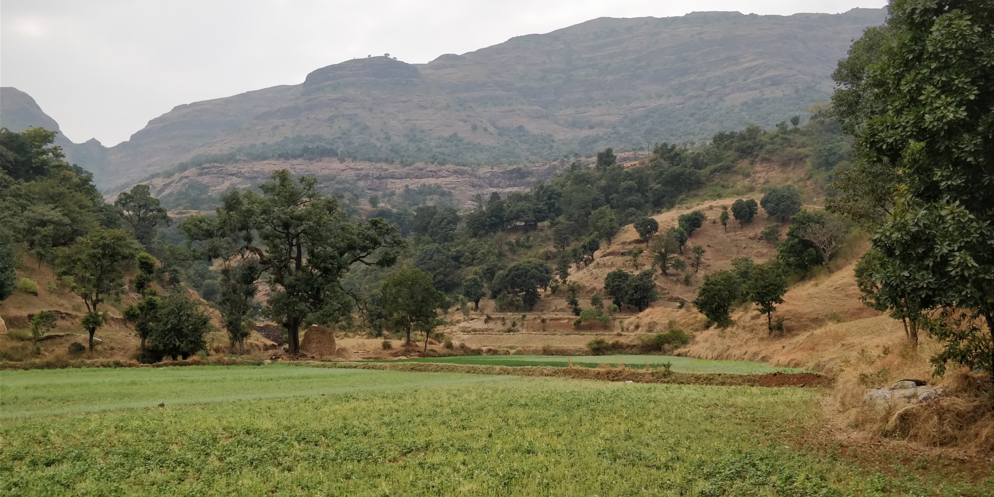 Kalsubai Trek- The Highest Peak of Maharashtra 5,400 ft