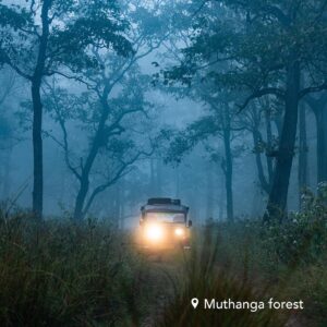 muthanga-forest-travellersofindia.com