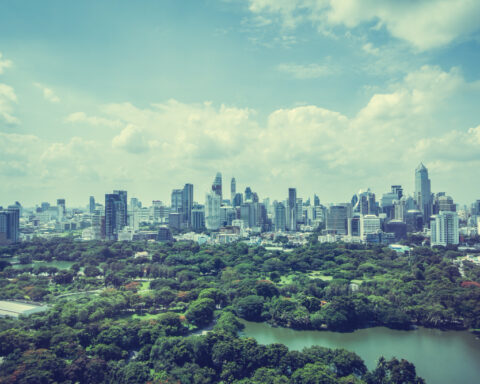 nature-in-indian-urban-landscape-travellersofindia