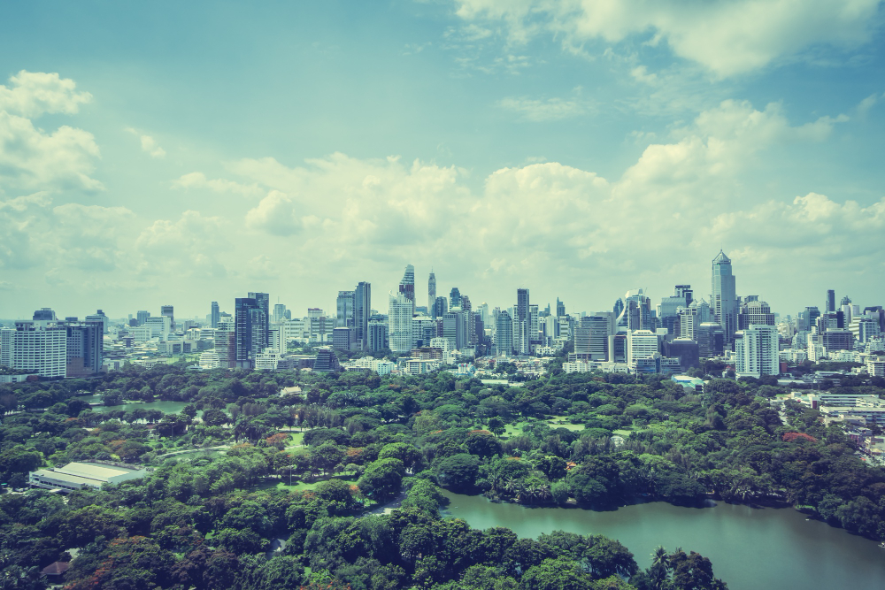 nature-in-indian-urban-landscape-travellersofindia