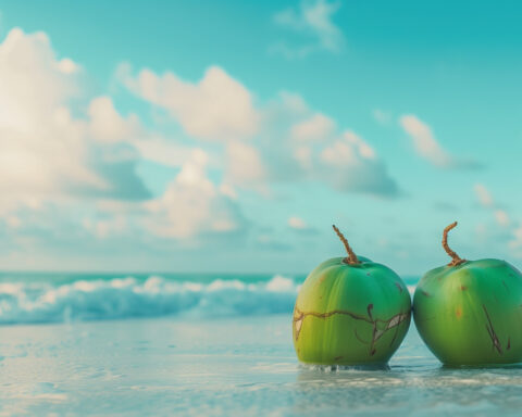 tropical-destinations-world-coconut-day-travellersofindia